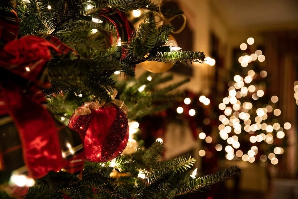 Merry Christmas 2024